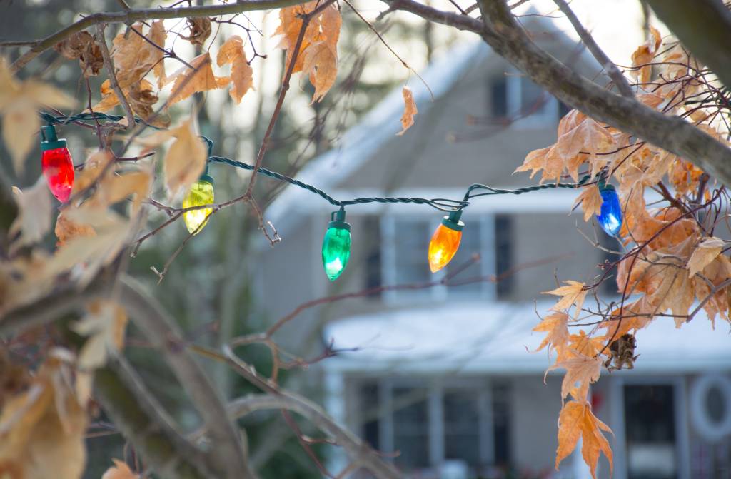 Top Christmas Events around Greenville & Spartanburg: 2025 Edition
